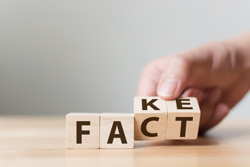 letters on a cube spelling out 'fact' and 'fake'