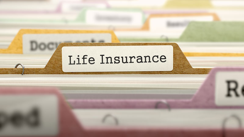 life insurance policy folder