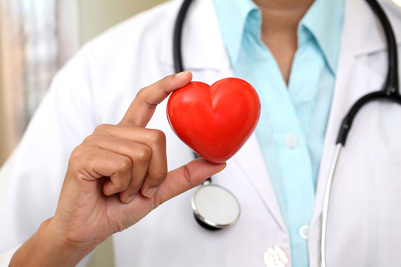 a doctor holding a heart figure
