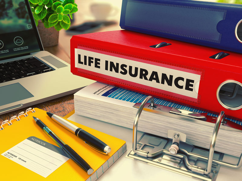 a life insurance policy folder