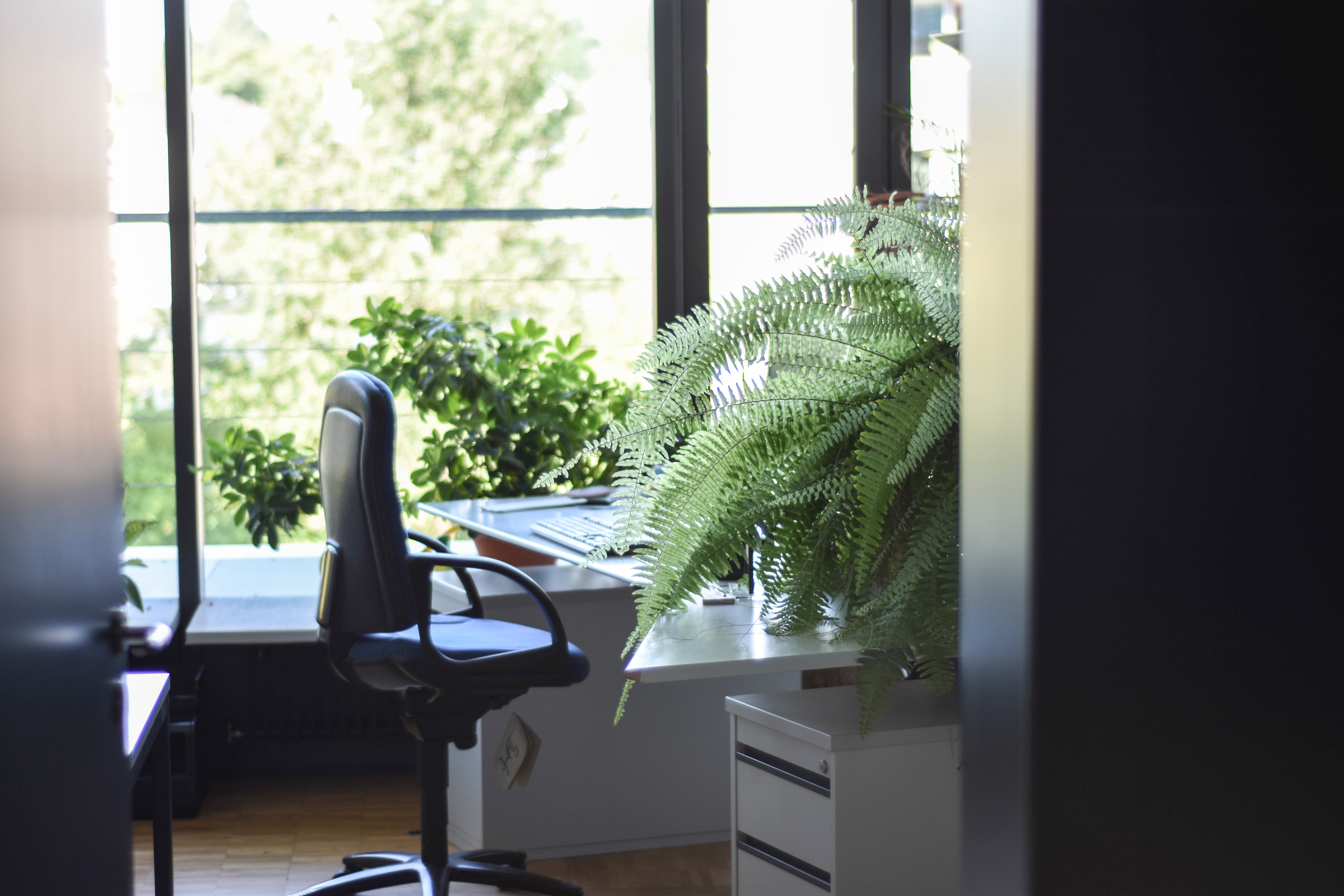 interior of office